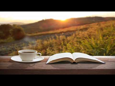 Hervin Jakončič - Jaz se ne bom kesal (Can't help falling in Love)