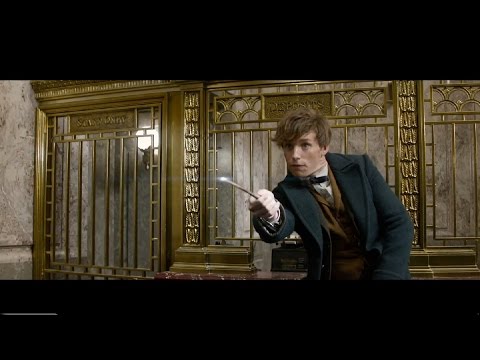 Трейлер Фантастичні звірі та де їх шукати