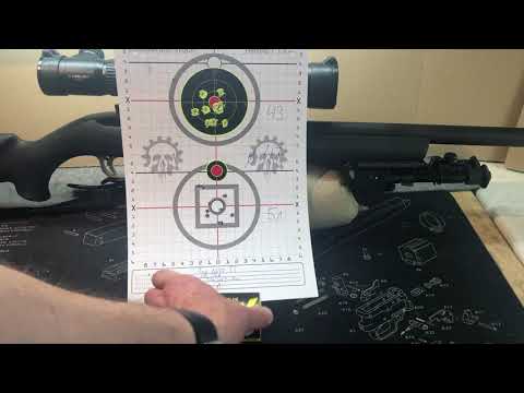 Ruger 10/22 Target Tactical .22LR Ammo Test 110 yards / 100 Meter