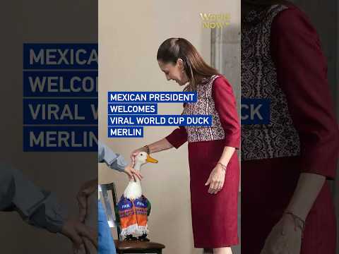 Mexican president welcomes viral World Cup duck Merlin #worldnow