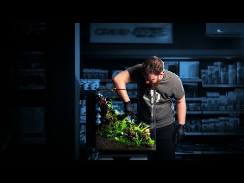 Oase Biorb - serwis