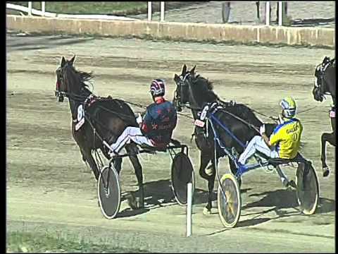 Trotto 20/09/2015 - 2° corsa