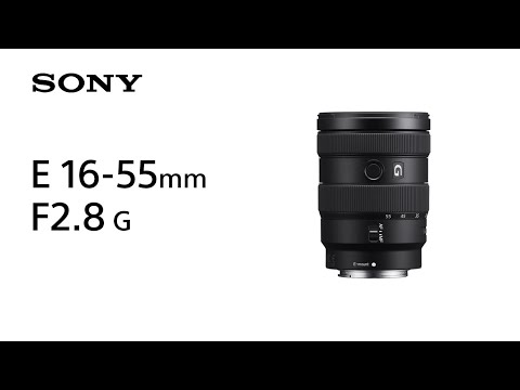 Sony ALC-SH161 Hood for FE 16-55 Lens 