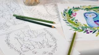Free Printable Colouring Pages