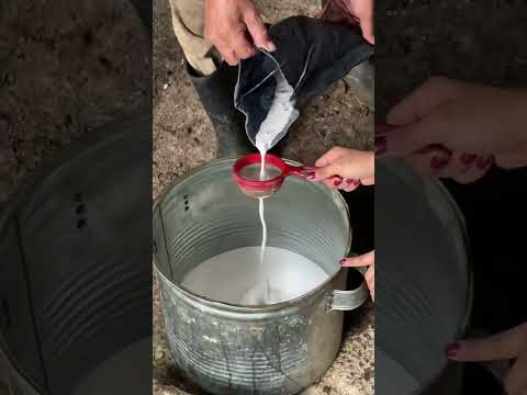 How to make chewing gum