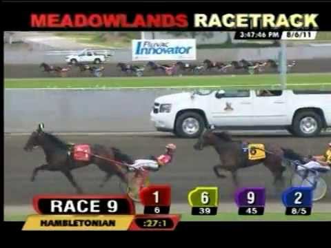 Hambletonian Final 2011 on August 6 at Meadowlands Racetrack