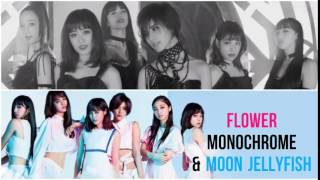 Flower - Monochrome & Moon Jellyfish PV's [Kanji|Rom|Eng] HD (see description)