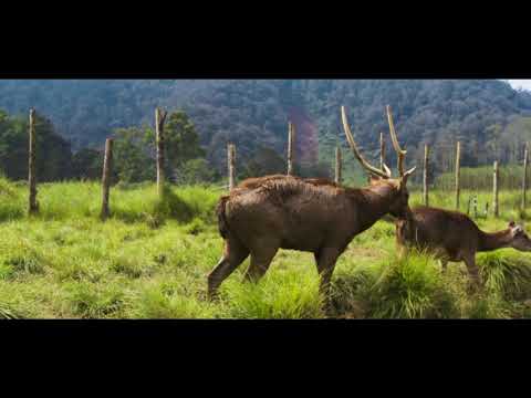 Uncal Novyj Trend Smotret Onlajn Na Sajte Trendovi Ru