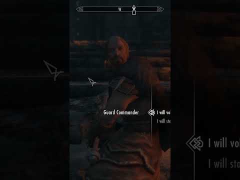 This Skyrim Mod has Arnold Schwarzenegger in it!!! #gaming #skyrim #arnoldschwarzenegger #shorts