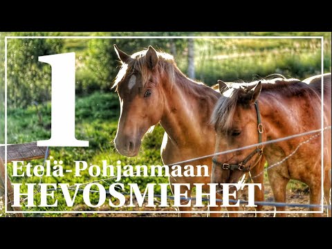 Etelä-Pohjanmaan hevosmiehet | jakso 1