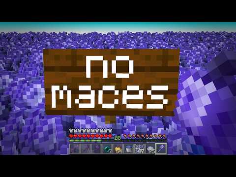 I Broke Every Rule on This Minecraft SMP