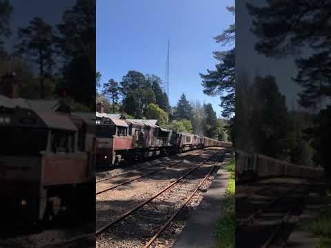 TRAINS AM22 SCT 2PM9 SCT15 CSR6 CSR5 21/10/2021 Mt Lofty, South Australia