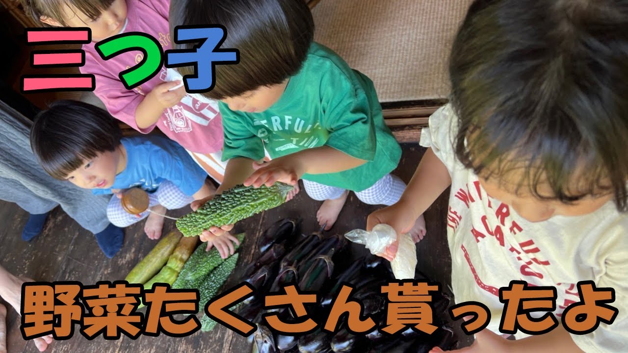 三つ子と古民家宿2日目の朝。時間も心無しかゆっくり過ぎていきます