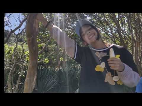 Fruteá Tu Escuela 2026 – Sembrando Salud – Escuela 243 Los Helechos 