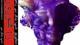 The Horrors - Something To Remember Me By (Re-edited by Tempesis)