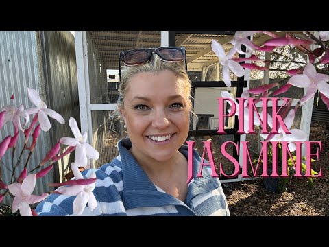 Planting Pink Jasmine and White Lilac Vine for my February Blooming Garden!