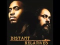 Damian Marley Ft Nas Patience