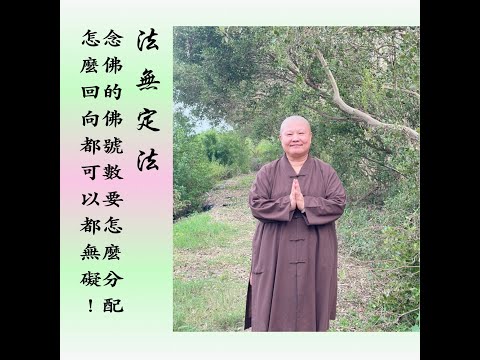 【法無定法～不要擔心佛號要如何分配回向】道晟法師 開示