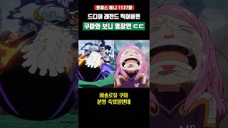 레전드 찍어버린 쿠마와 보니 명장면 ㄷㄷ #원피스 #shorts