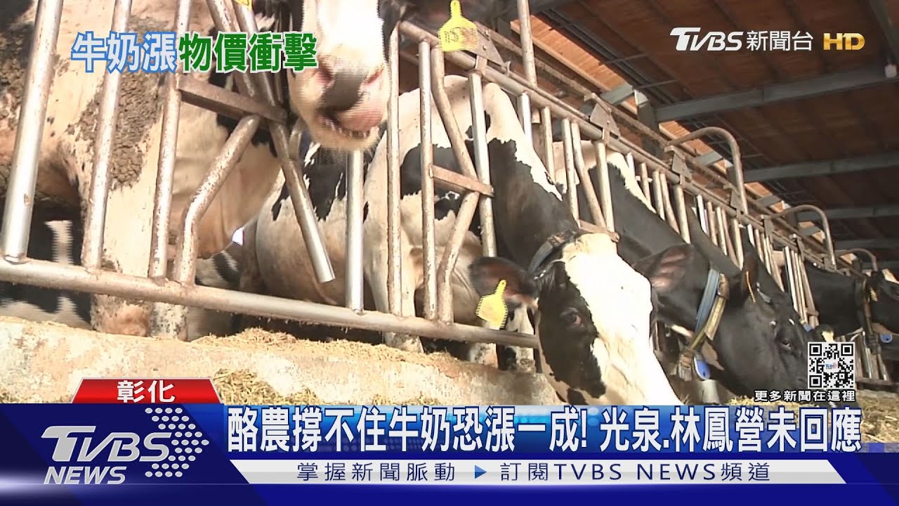 酪農撐不住牛奶恐漲一成！光泉、林鳳營未回應