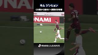 【百戦錬磨の守護神】豊富な経験と安定感でゴールを守り抜く｜キム ジンヒョン（セレッソ大阪 → 栃木シティ）