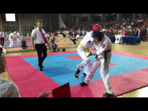 ashihara karate half finale world championship gyor 2018 Tarik Keric