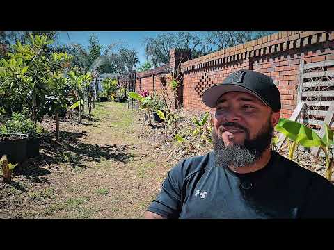 The GMO Conversation