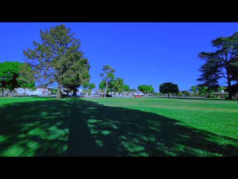 Nick Mullen Gay CATS 