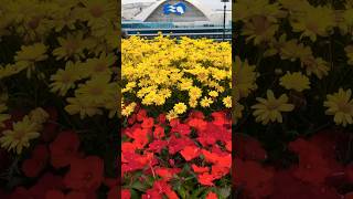 Captivated in Canada on this Princess Cruise to Alaska. #travel #cruise #solotravel #cruiseship