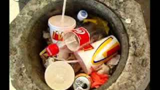 ska-p - mcdollar.mpg