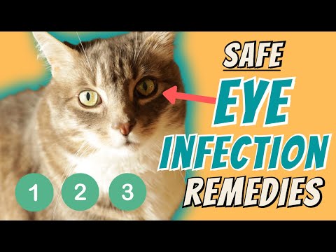 Eye Infection Home Remedies
