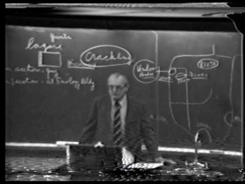 Introduction to Winemaking: VEN3 Lecture15 - Maynard Amerine