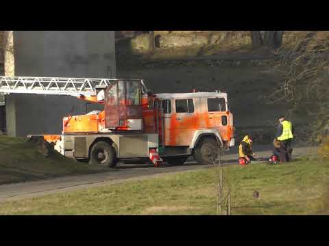 Mieszkańcy Barlinka mówią stop wycince drzew