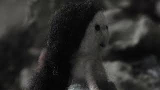 Kinku - Tráiler