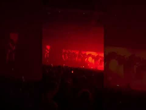 Eelke Kleijn- Transmission @ Illusions 08.03.2024.