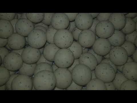 Milchprotein Produktion