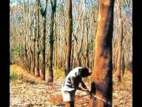 Latexmatratzen Betten-Direct.de