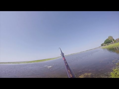 GoPro: Giancarlo Ferrucho - Best Catch 7.15.15 - Fish