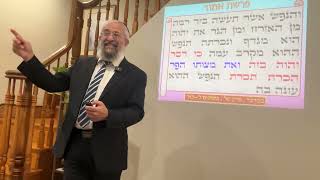 פרשת אמור - מהות היהדות סוד שלשת הקדושות , קדושת הזמן , קדושת המקום , וקדושת האדם - הרב ינון קלזאן