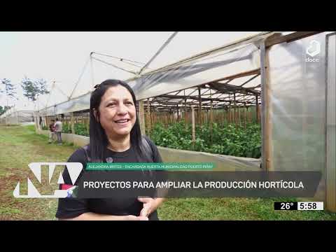 #NuestroAgro: Impulso al cultivo de tomates en Puerto Piray