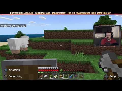 Minecraft "Chill Stream" May 14, 2019 pt2 - Final Wood Prep and THEN To the Village