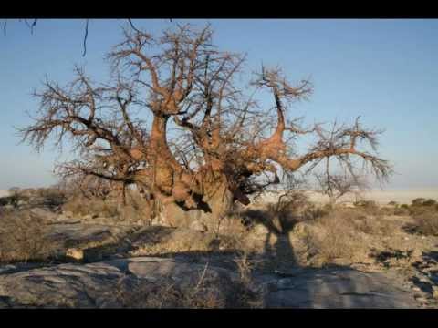 Botswana Adventure 2011 Part 1
