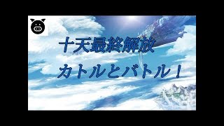 十天衆　最終上限解放の道のりを改めてチェックしてみよう【グラブル】