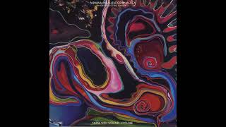 Nurse with Wound & Cyclobe — Paraparaparallelogrammatica (Angry Eelectric Finger 2) (2004)