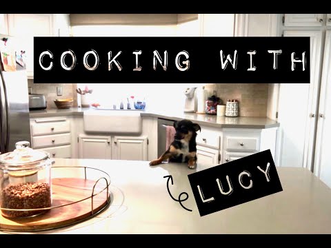 KIDS - Cooking with Lucy!