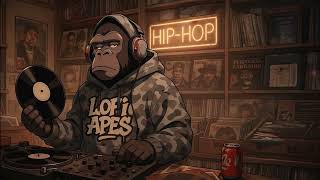 Soulful 90s Boom Bap  Smooth Classic Hip-Hop Beats You’ll Keep on Repeat