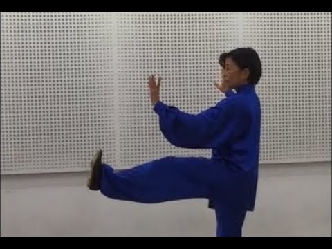 愛知淑徳大学公開講座「太極拳」藤田裕子