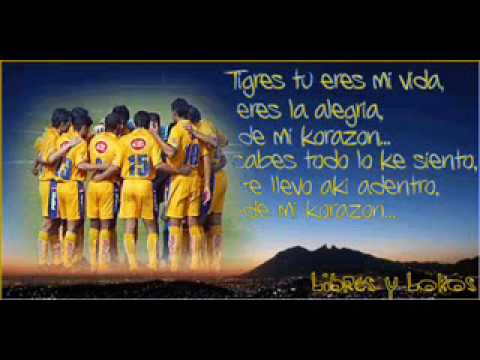 maximo consumo - veneno pa olvidar