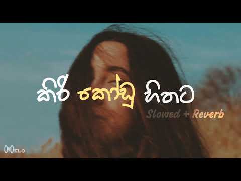 Kiri Kodu Hithata - කිරි කෝඩු හිතට | Slowed and Reverb | Bathiya N Santhush | Melosync 🎶