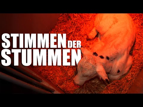 Stimmen der Stummen: Tierschutz in Aktion (Dokumentation) - 14.04.2025